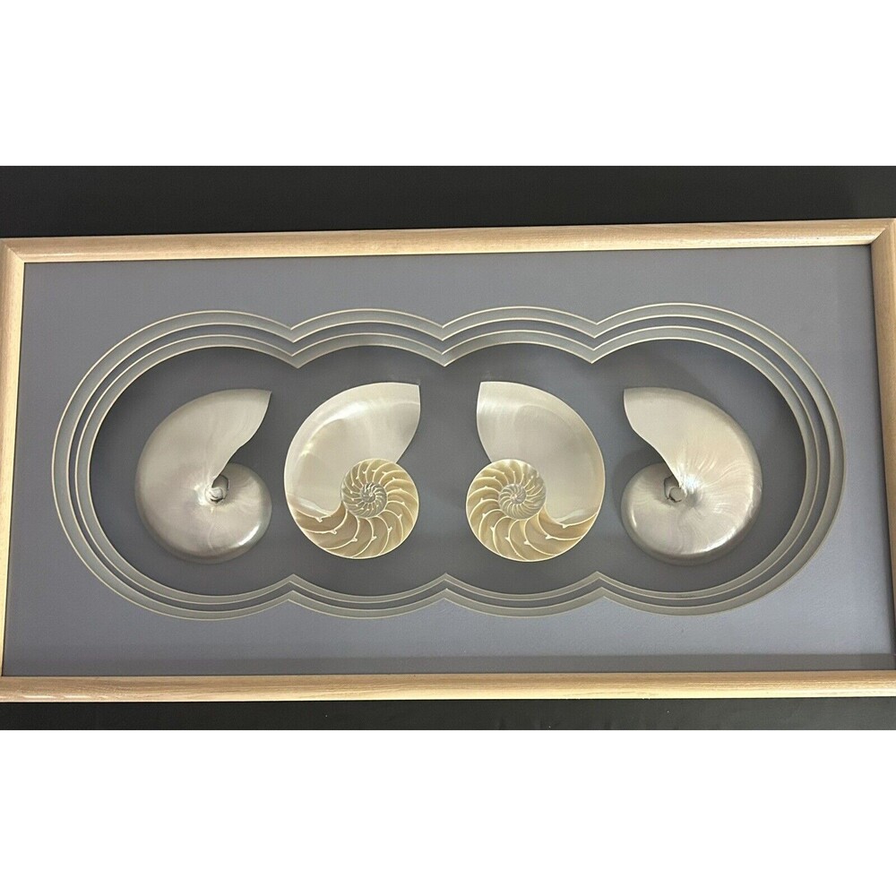Vintage Mother Of Pearl Chambered Nautilus Shell Shadow Box Frame 15" X 28" Cut